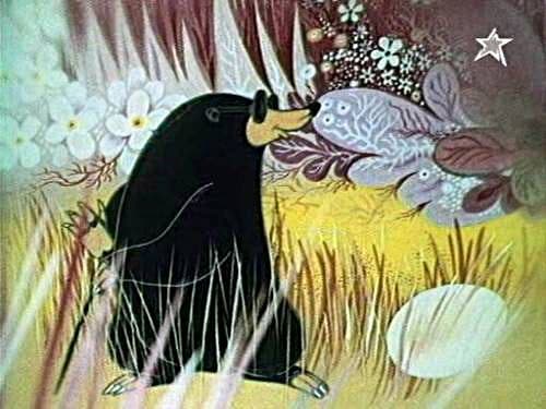 М. Вишневецкая